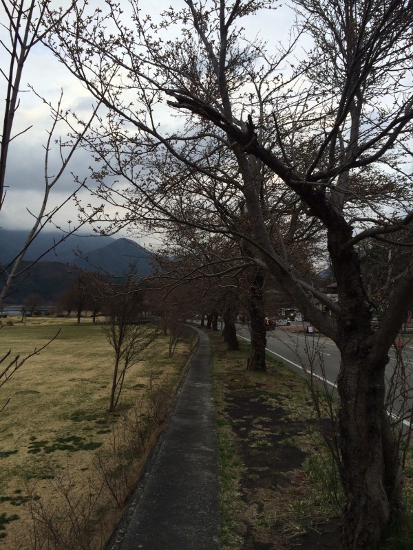 勝山道の駅