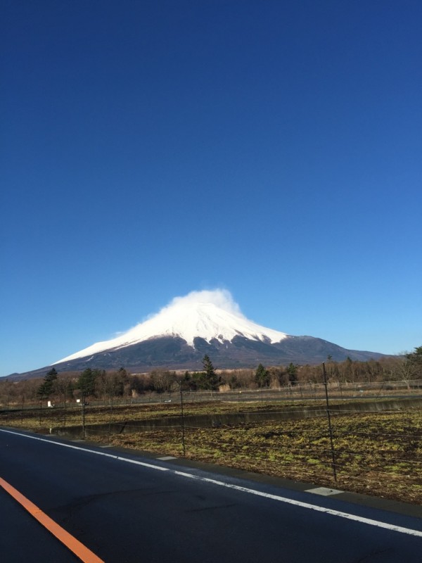 花の都