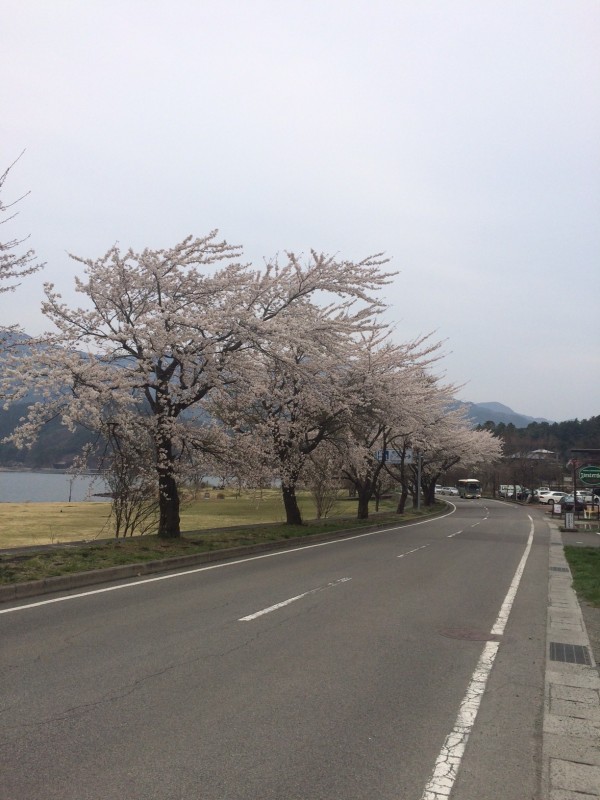 勝山道の駅3