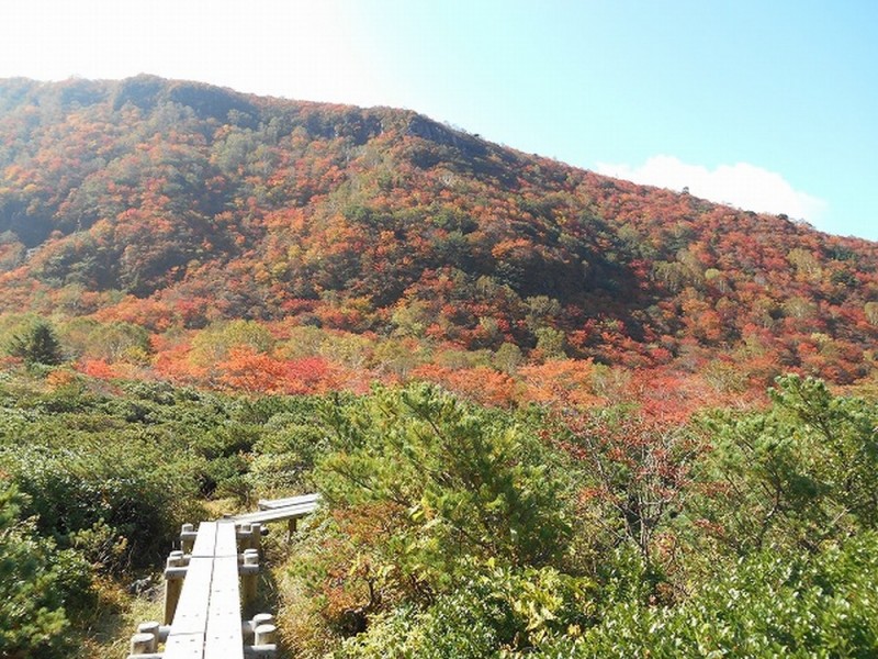 那須紅葉?