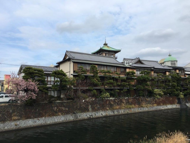 東海館と桜