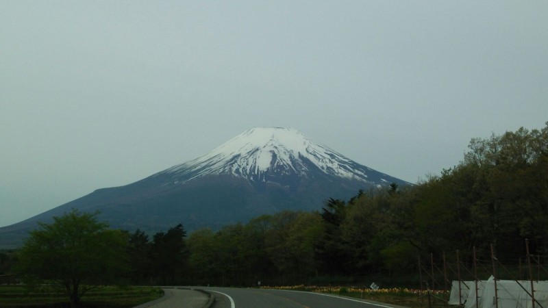 富士山