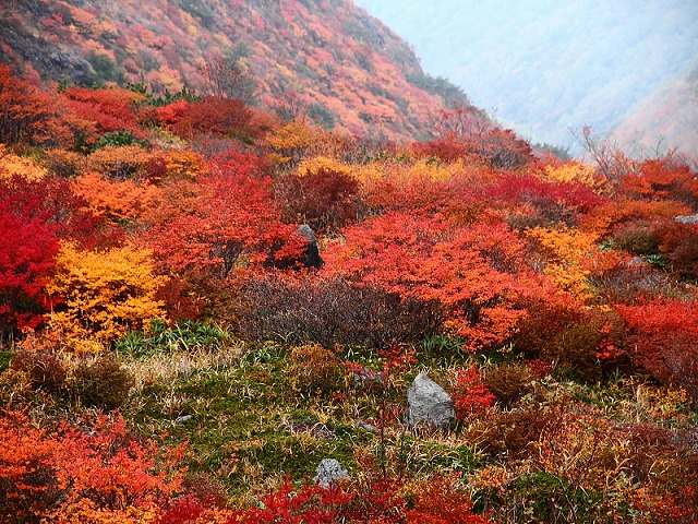 那須紅葉２ (1)