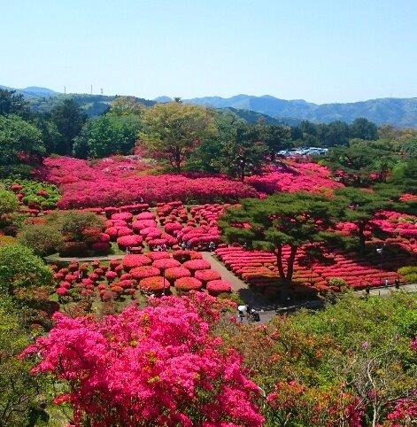 高原0504写真?