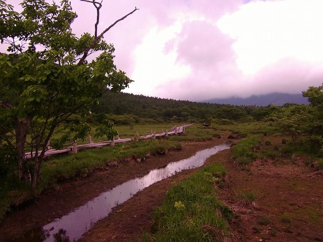 ぬまっぱら湿原２