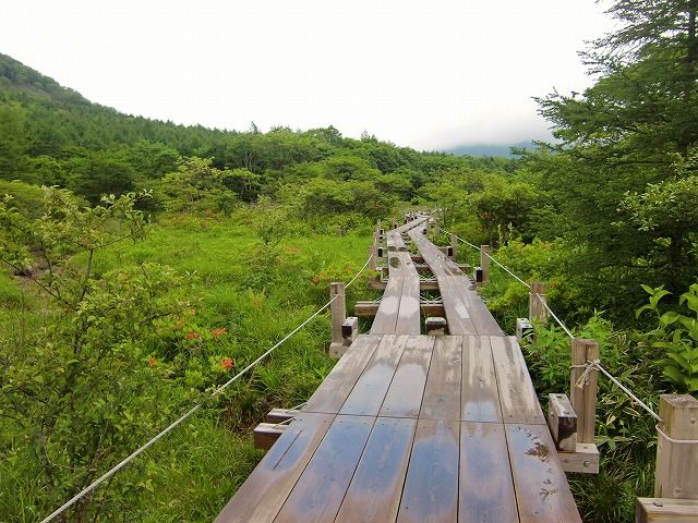 ぬまっぱら湿原