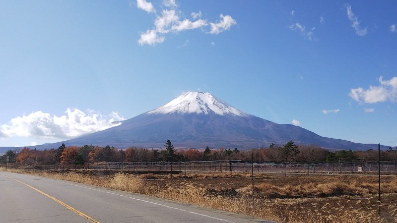 富士山