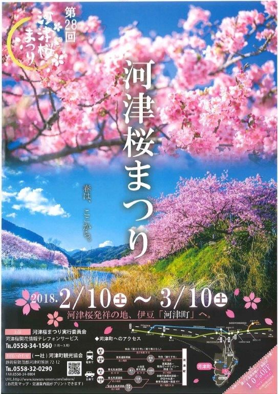 河津桜まつりチラシ表