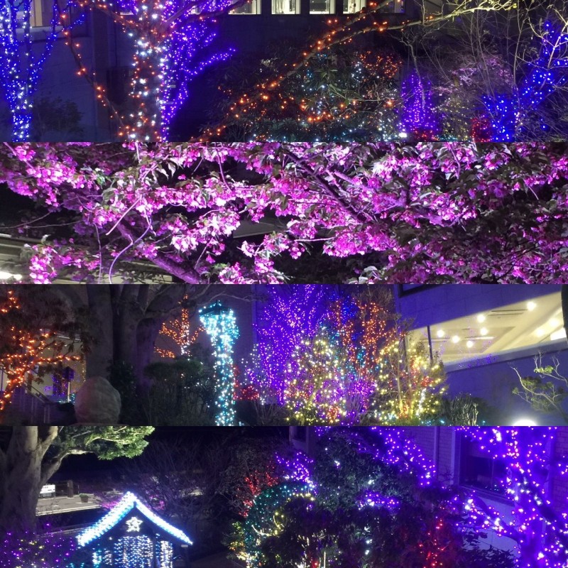 高原0321-2