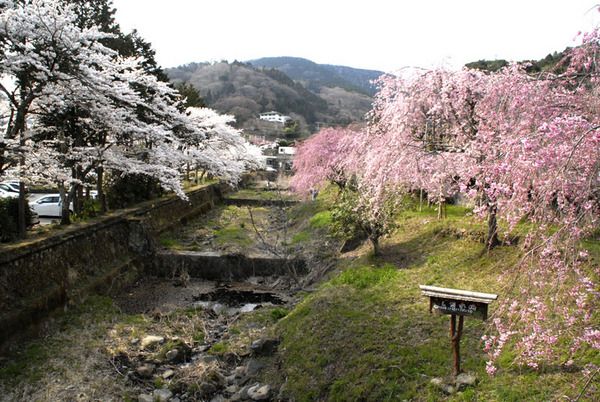 宮城野0413その1