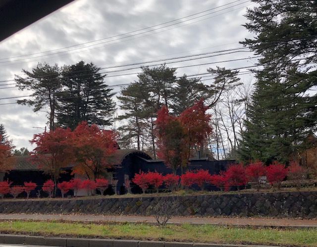 20181109 軽井沢施設付近紅葉