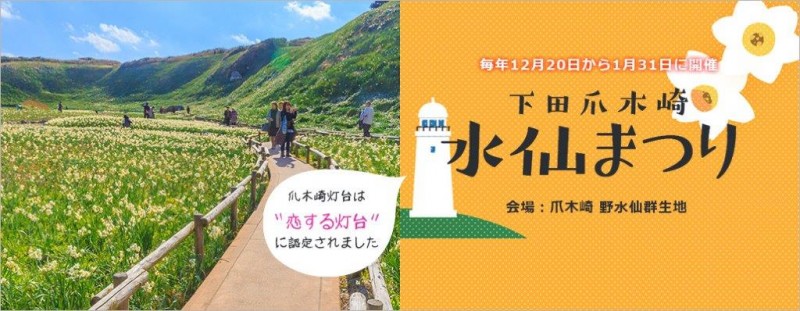 2019年1月3日（木）伊豆高原ブログ：伊豆下田爪木崎水仙まつり情画像NO1