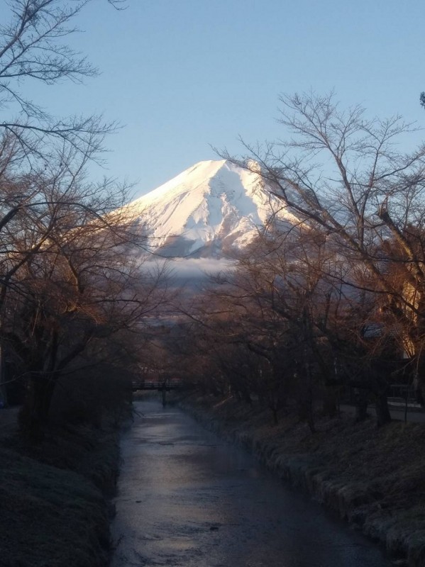 富士山