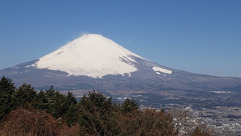 201904_宮城野?