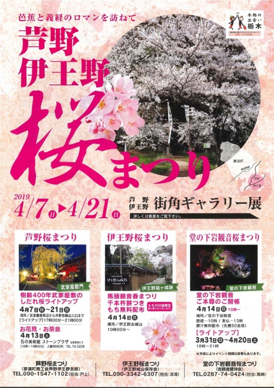 芦野伊王野桜まつり画像?