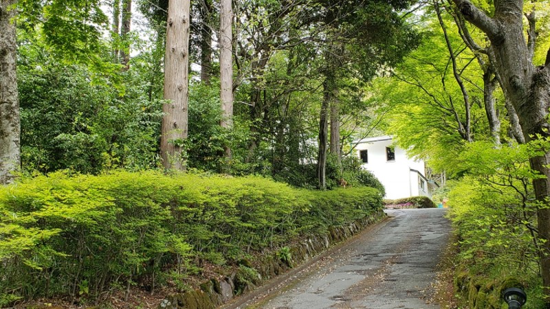 20190625_宮城野_photo2