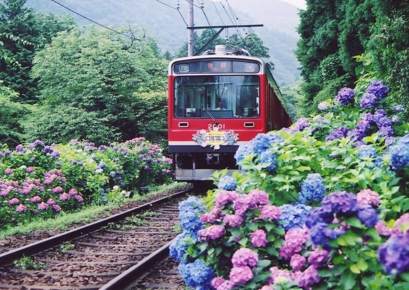 20190625_宮城野_photo4