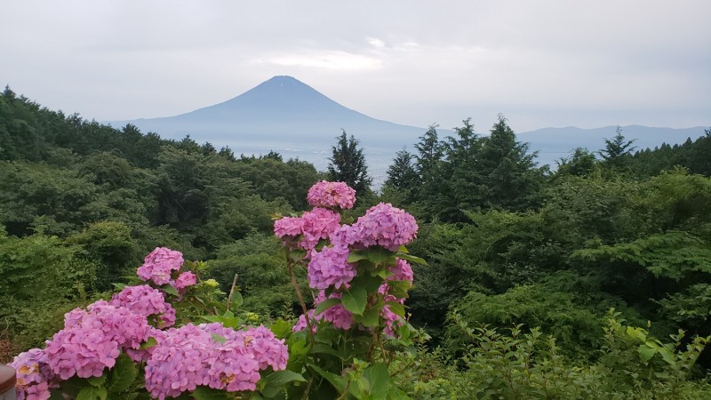 20190731_宮城野_1