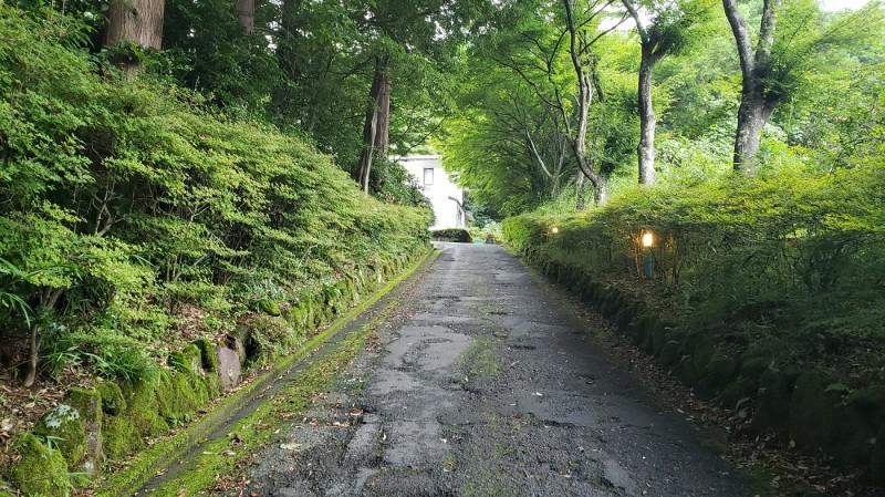 20190731_宮城野_4