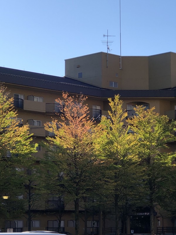 20190929_草津1