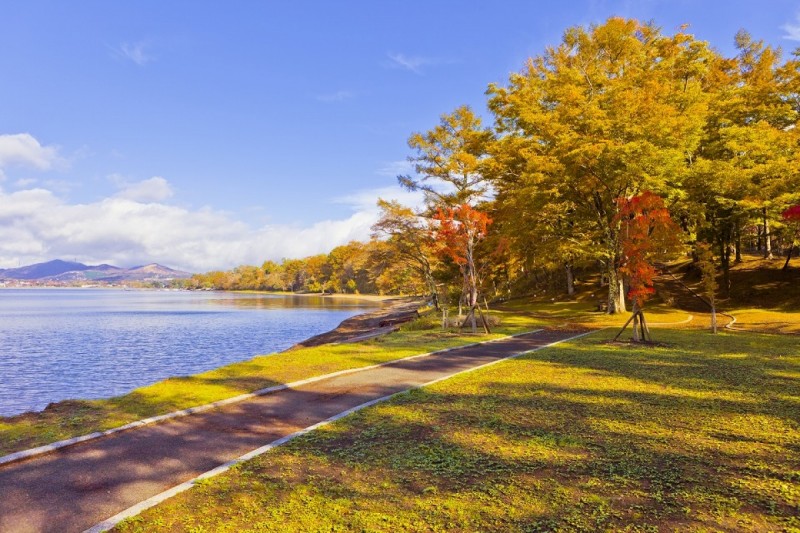 20190920_山中湖_緑地公園