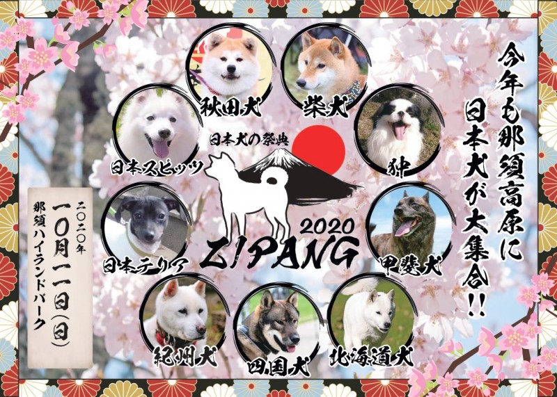 日本犬の祭典画像?