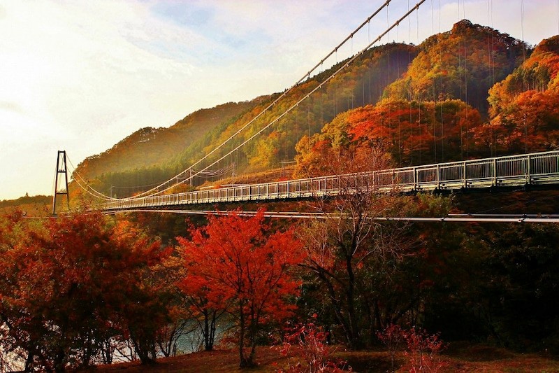 もみじ谷大吊橋