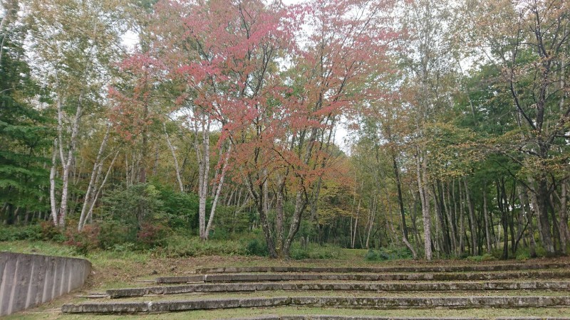 ブログ1015広場の紅葉蓼科