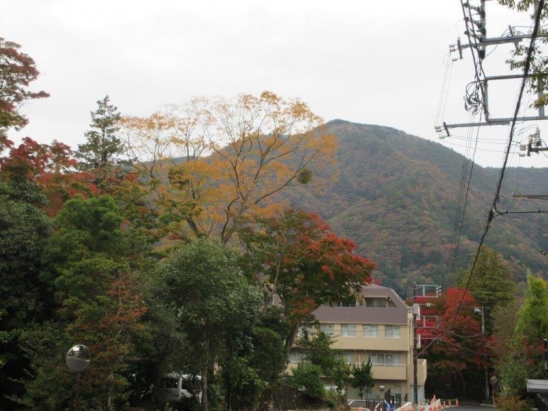 強羅1111ブログ写真?
