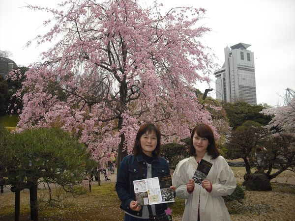 目黒川桜クルーズ