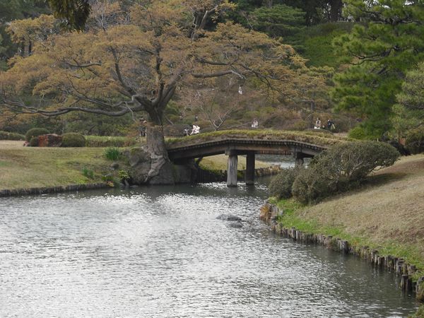 目黒川桜クルーズ