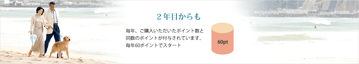 2年目からも