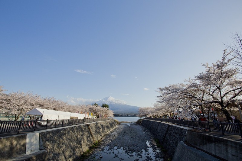 富士山