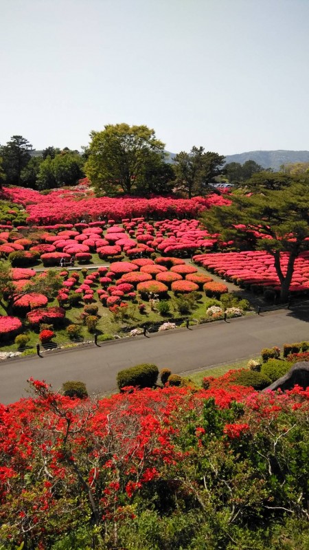 4月30日ブログ画像１