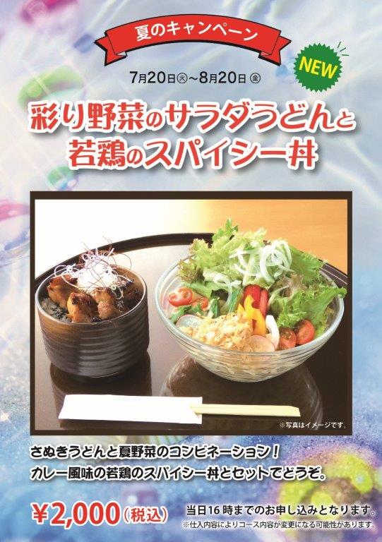 彩り野菜のサラダうどんと若鳥のスパイシー丼A4