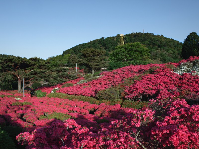 4月16日ブログ画像3