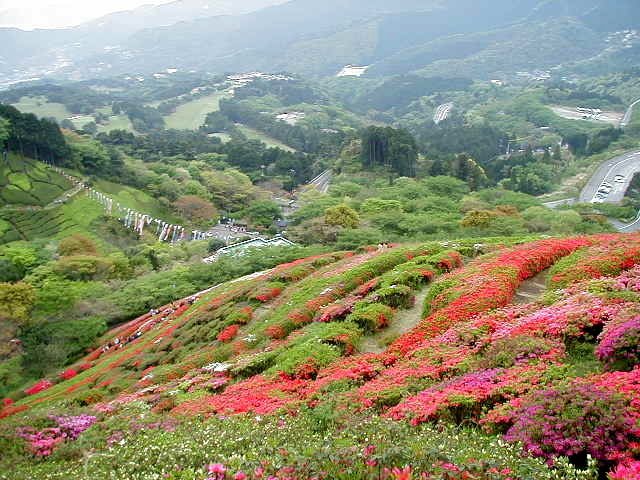 画像?　姫の沢