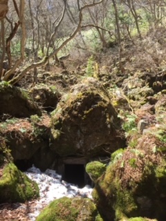 氷室ウォーク