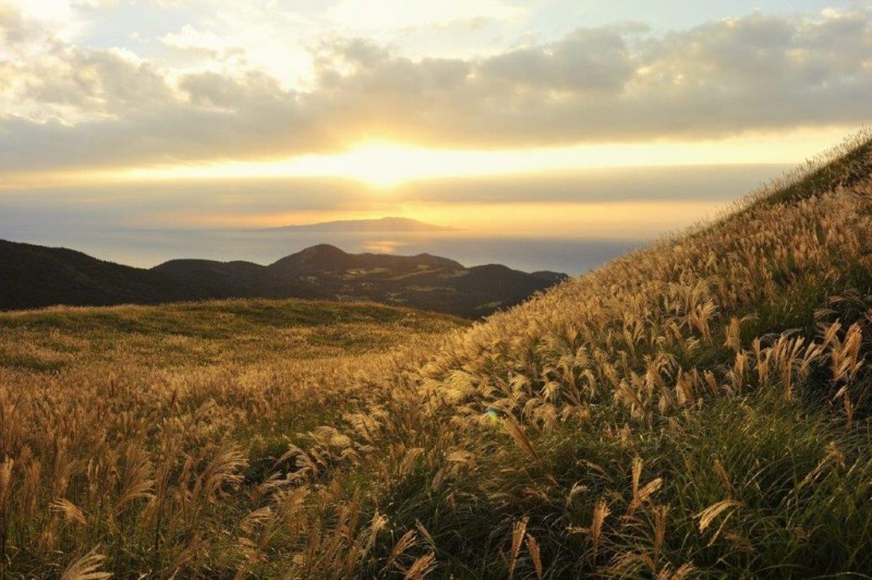 稲取細野高原02