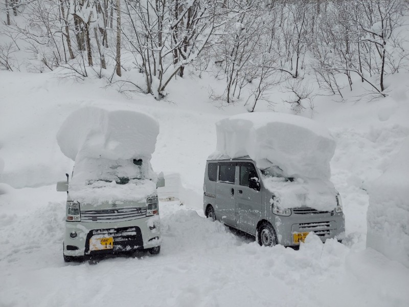 1月最初の大雪３