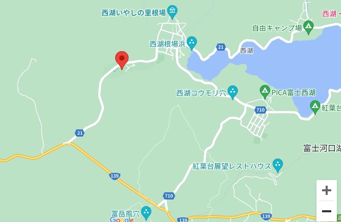 西湖樹氷まつり?