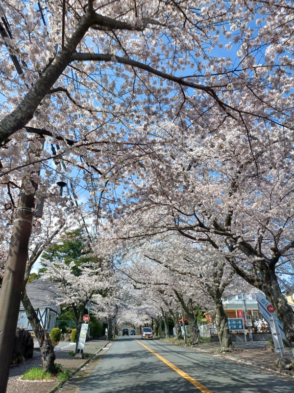 4月2日画像３