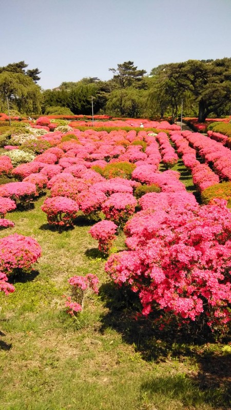 4月15日ブログ画像３