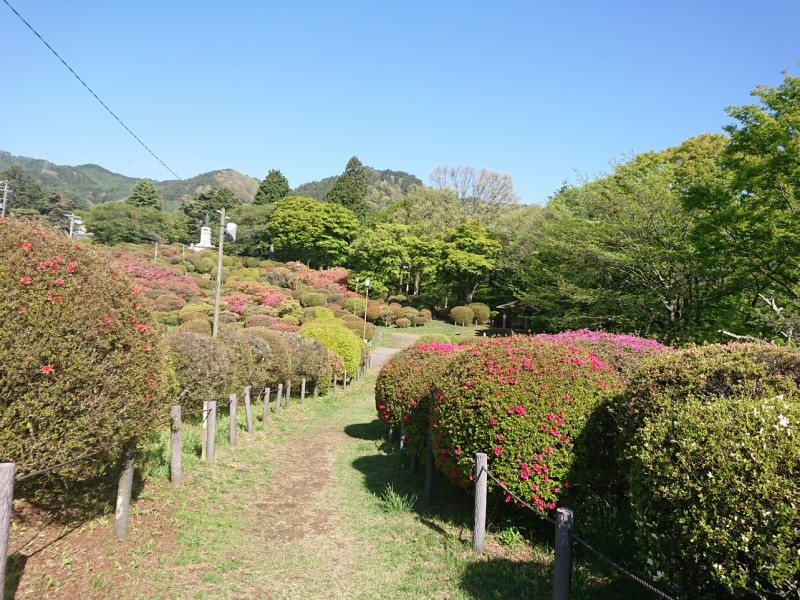 ブログ230509掲載画像?蓼科