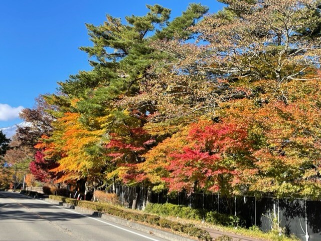 紅葉始め