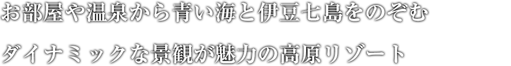 色彩豊かなサンタフェ調ロビー 澄んだ富士の空気に満ちた爽やかなレイクリゾート