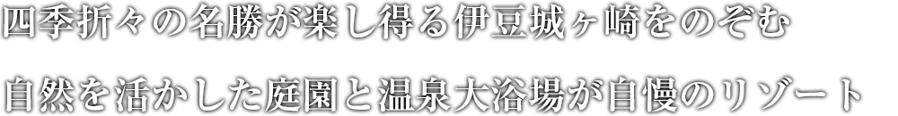 色彩豊かなサンタフェ調ロビー 澄んだ富士の空気に満ちた爽やかなレイクリゾート