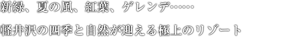 色彩豊かなサンタフェ調ロビー 澄んだ富士の空気に満ちた爽やかなレイクリゾート