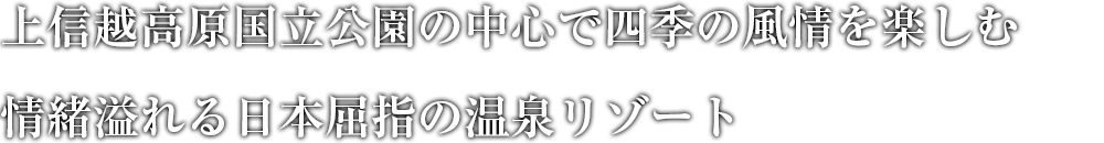 色彩豊かなサンタフェ調ロビー 澄んだ富士の空気に満ちた爽やかなレイクリゾート