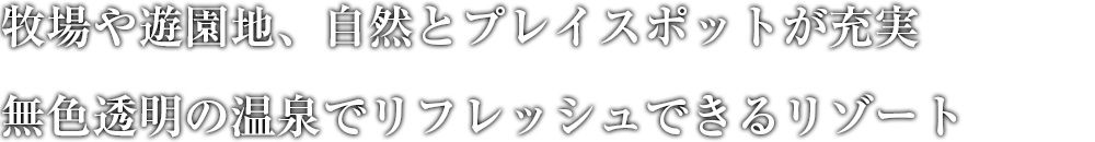 色彩豊かなサンタフェ調ロビー 澄んだ富士の空気に満ちた爽やかなレイクリゾート